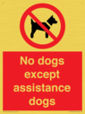 no-dogs-except-assistance-dogs~